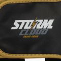 Boksz fejvédő StormCloud Lynx black/gold 5