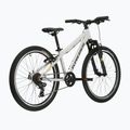 Gyermekkerékpár KROSS Dust Jr 1.0 grey/black/gloss 3