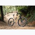 Női mountain bike KROSS Level 6.0 beige/brown/gloss 13
