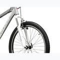 Női mountain bike KROSS Lea 1.0 silver/white/gloss 5