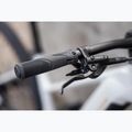 Női elektromos kerékpár KROSS Influx Hyb 1.0 720Wh grey/gold/gloss 15