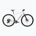 Gravel kerékpár KROSS Esker 1.0 FL grey/purple/gloss