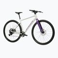 Gravel kerékpár KROSS Esker 1.0 FL grey/purple/gloss 2