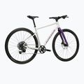 Gravel kerékpár KROSS Esker 1.0 FL grey/purple/gloss 3