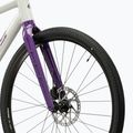 Gravel kerékpár KROSS Esker 1.0 FL grey/purple/gloss 6