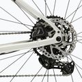 Gravel kerékpár KROSS Esker 1.0 FL grey/purple/gloss 10