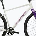Gravel kerékpár KROSS Esker 1.0 FL grey/purple/gloss 11