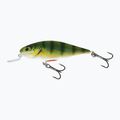 Salmo Executor SHR valódi sügér QEX004