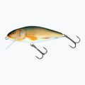 Salmo Perch FL valódi süllő QPH025