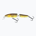 Wobbler SaImo Fanatic F7F pisztráng QIF004