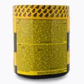 Real Pharm Unreal edzés előtti 360g fekete ribizli citrom 700957 2