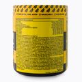 Real Pharm Unreal edzés előtti 360g fekete ribizli citrom 700957 3