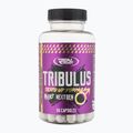 Tesztoszteron fokozó Real Pharm Tribulus 1000mg 60 kapszula 714053