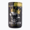 Real Pharm Behemot pre-tréner 500g mango-maracuja 714183