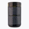 Real Pharm Behemot pre-tréner 500g mango-maracuja 714183 2