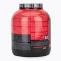 Fitness Authority Isolate Bad Ass Zero 2 kg sütik tejszínes sütivel 2