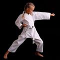 Bushido gyermek öv karategi ARK-3102 fehér 14