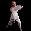 Bushido gyermek öv karategi ARK-3102 fehér 15