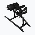 Bicepsz edzőgép THORN FIT GHD-1 gym black