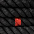 Edzőköté  THORN FIT Competition Hybrid do sanek black 7