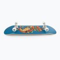 Fish Skateboards Zack Kezdő klasszikus gördeszka 8.0' kék SKATE-ZAC-SIL-WHI 11