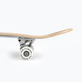 Fish Skateboards Zack Kezdő klasszikus gördeszka 8.0' kék SKATE-ZAC-SIL-WHI 12