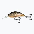 Salmo Hornet FL természetfeletti tükörponty QHT859