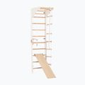 Gimnasztikai létra RINAGYM SPR C+SLIDE 2