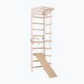 Gimnasztikai létra RINAGYM SPR C+SLIDE 4