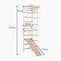 Gimnasztikai létra RINAGYM SPR C+SLIDE 6