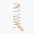 RINAGYM SPR A+SLIDE torna létra 4