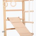 RINAGYM SPR B+SLIDE torna létra 5