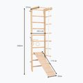RINAGYM SPR B+SLIDE torna létra 6