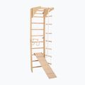 Gimnasztikai létra RINAGYM SPR C+SLIDE 3