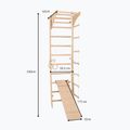 Gimnasztikai létra RINAGYM SPR C+SLIDE 6