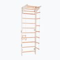 Gimnasztikai létra RINAGYM Pro 2 white 3