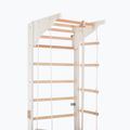 Gimnasztikai létra RINAGYM Pro 2 white 5