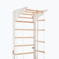 Gimnasztikai létra RINAGYM Pro 3 white 5