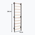 Gimnasztikai létra RINAGYM Steel 1 graphit 9