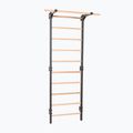 Gimnasztikai létra RINAGYM Steel Pure graphit 2
