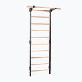 Gimnasztikai létra RINAGYM Steel Pure graphit 3