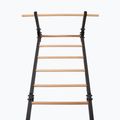 Gimnasztikai létra RINAGYM Steel Pure graphit 4