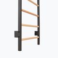 Gimnasztikai létra RINAGYM Steel Pure graphit 9