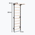 Gimnasztikai létra RINAGYM Steel Pure graphit 12