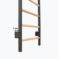 Gimnasztikai létra RINAGYM Steel Pure graphit 13