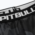 Férfi kompressziós rövidnadrág Pitbull West Coast Shorts Dillard grey camo 3
