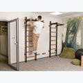 BenchK húzódzkodó rúd PB 310B fekete BK-310B 14