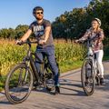 Elektromos kerékpár Ecobike MX300 LG fekete 1010307 22