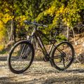 Elektromos kerékpár Ecobike SX300/X300 LG 14Ah zöld 1010404 18