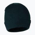 Férfi téli sapka Pitbull West Coast Beanie Small Logo dark green